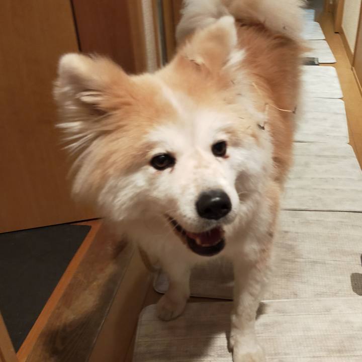 4b302530 3e18 4b9c a407 c84def3b0832 1642422406046