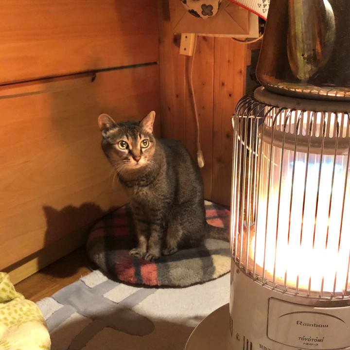 4b302c33 e1d9 4fd2 affb 1d4cdd612e4f 1740318677891