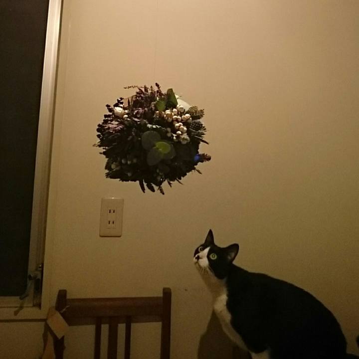 4b305b8e ec66 4bbf ba86 5c6386ebb26d 1544619910830