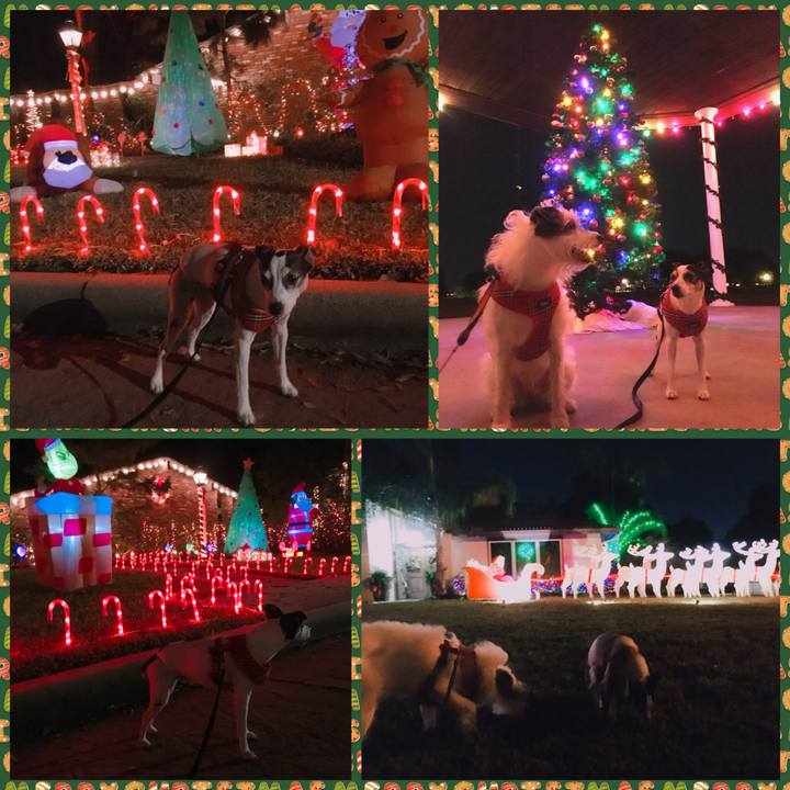 4b30774e 9a18 459f 9b3b 1d2a59d06a04 1513979979476