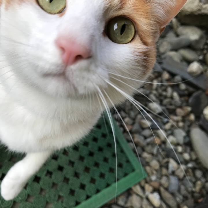 4b30c54b ad60 4915 9d48 bda217031a68 1516422161891