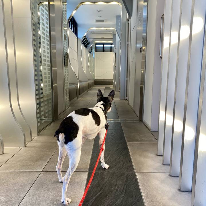 4b30cdab 39bc 4cd5 a3e6 2a98f0dc261c 1620889325285