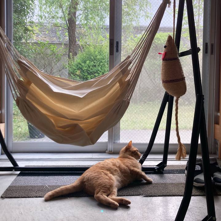 4b312746 189a 4c44 8f00 212492b9a33b 1617510480846