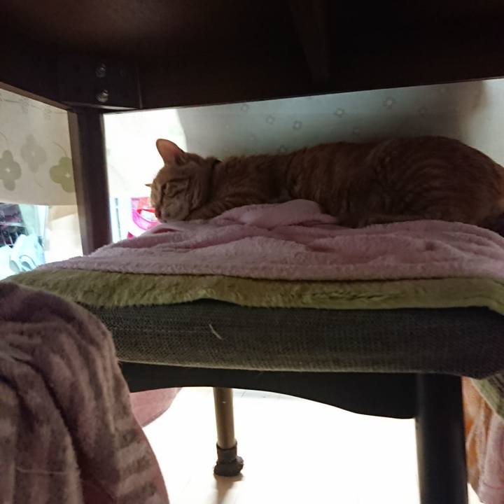 4b3190fd 0ebe 4253 be54 bc75f5d903be 1640685489086