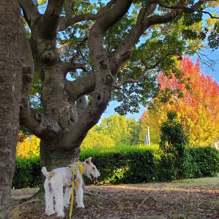 4b31bff9 a61b 4b80 9939 e0d29f9395d5 1667474649355