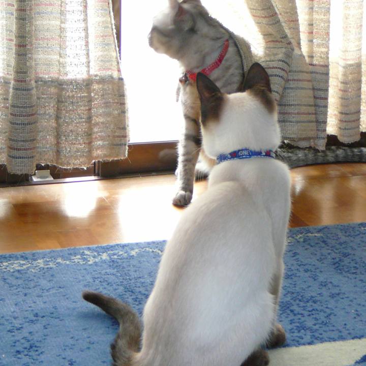 4b31e838 c334 4b26 9c77 cab241a1cb42 1522187568970