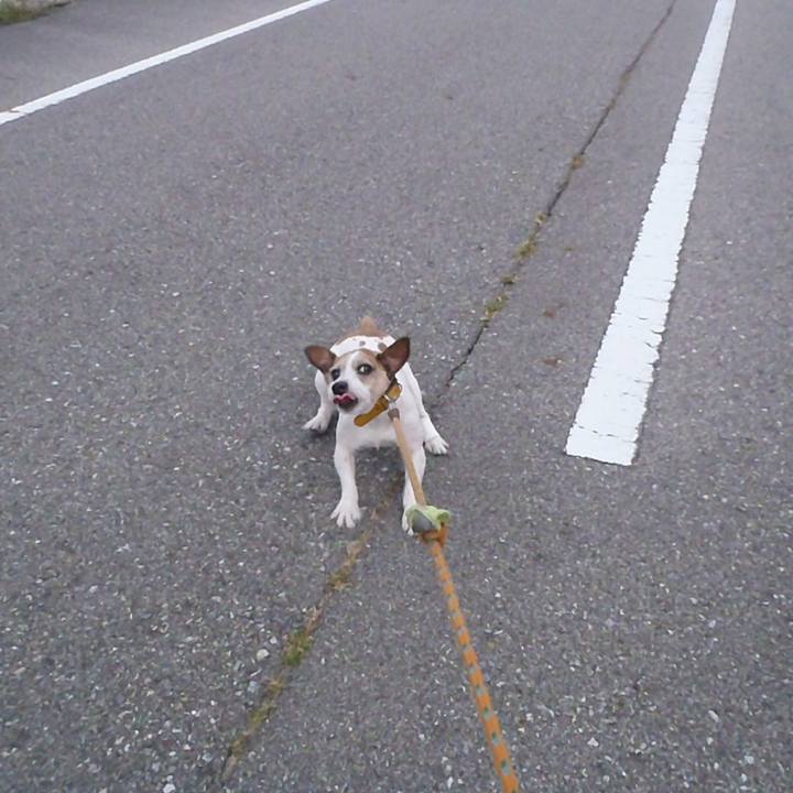 4b31f20f 85cd 499a a590 a00f57c4bc46 1549024783506