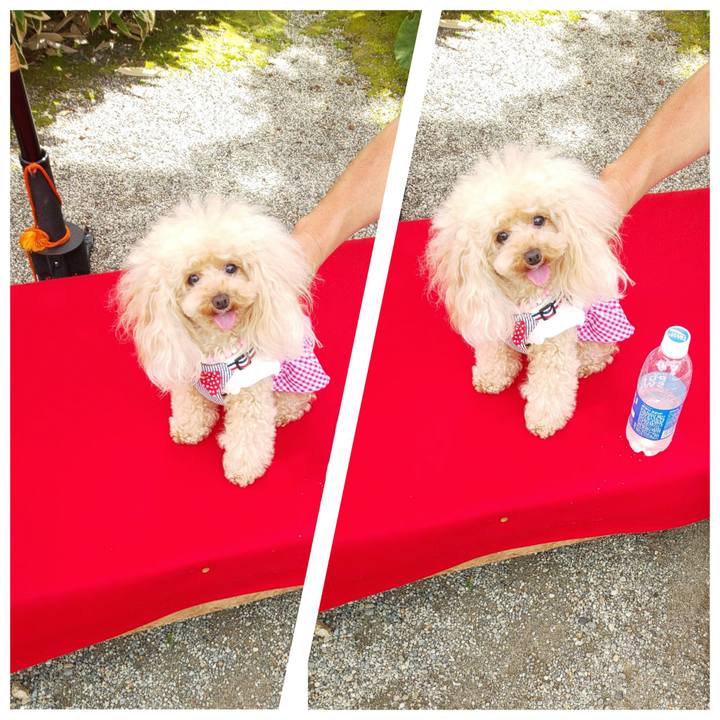 4b31fccf 496e 4473 b1bd ee1e4c692545 1567855947288