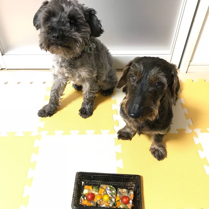 4b3202b8 b093 4616 9f3a 6ef254489543 1528118087477