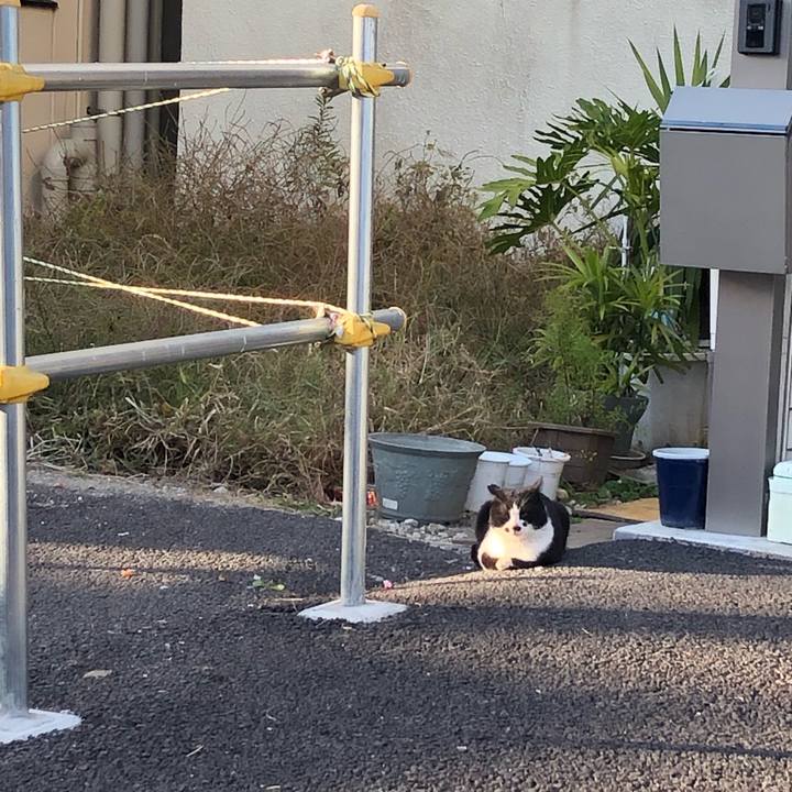 4b321a38 f0df 41a7 9267 ebd7fee1778f 1607438265805