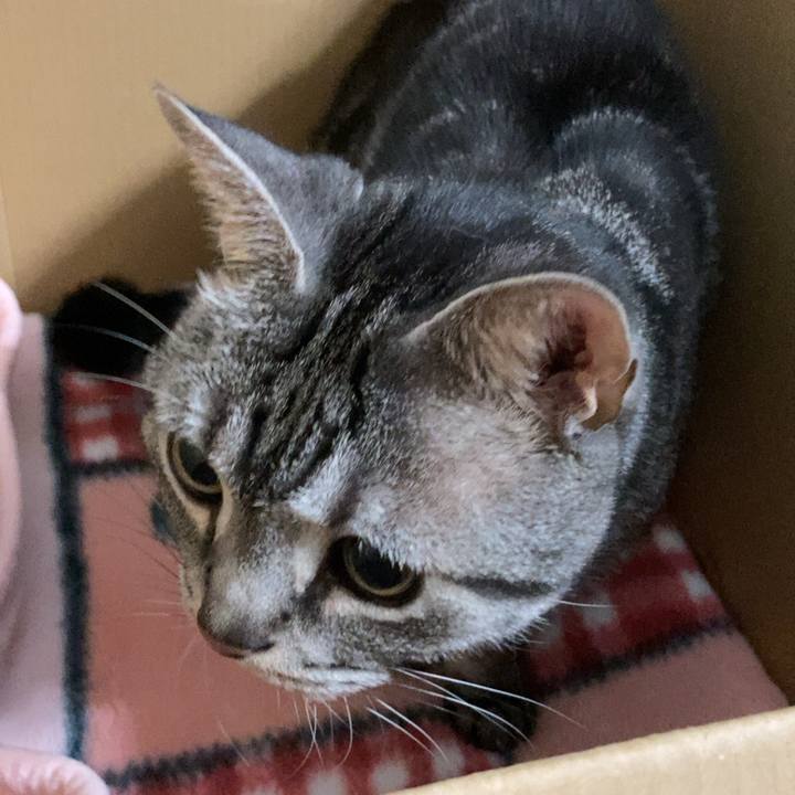 4b321d32 b133 491d 916f 8854f683954c 1634556049473