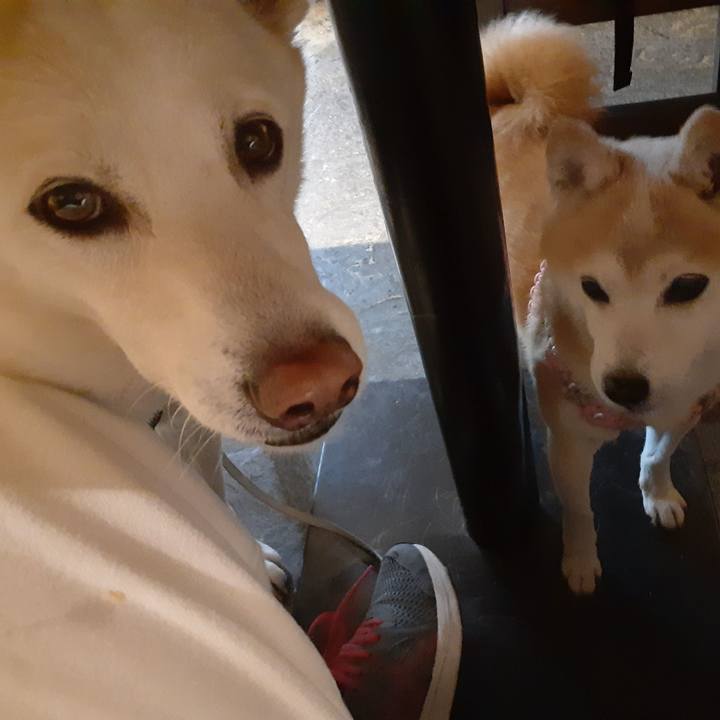 4b321da0 7329 48bc b222 b7e4d8f1340e 1668915140965