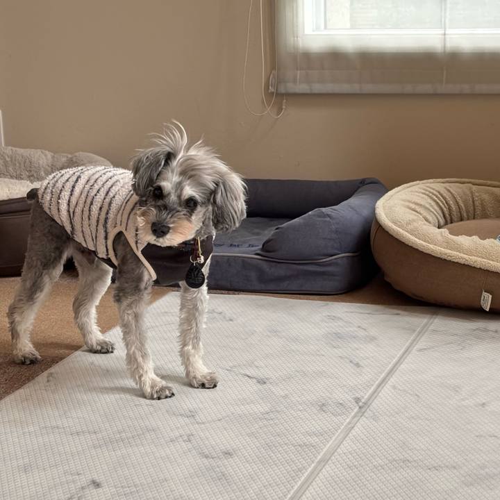 4b321f6c 5bbc 4bc2 b616 24c85eb1abba 1762664152239