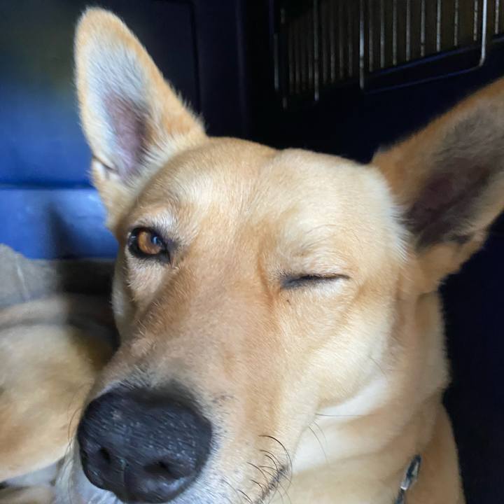 4b3241e5 c010 4410 83ba bb869ce47656 1588310915481