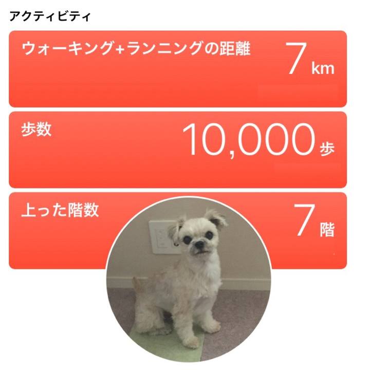 4b32e7f3 4500 4ef8 bcc6 7d02051e720c 1545549636054