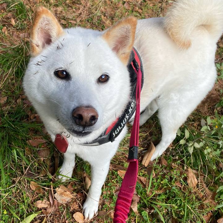 4b32facf 1c19 48f5 b638 1f3a291c09cd 1670842028169