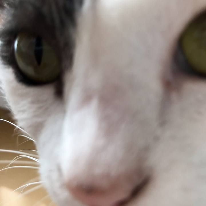 4b33111b 53a4 463f 9912 0edfe1ed3055 1530971682418