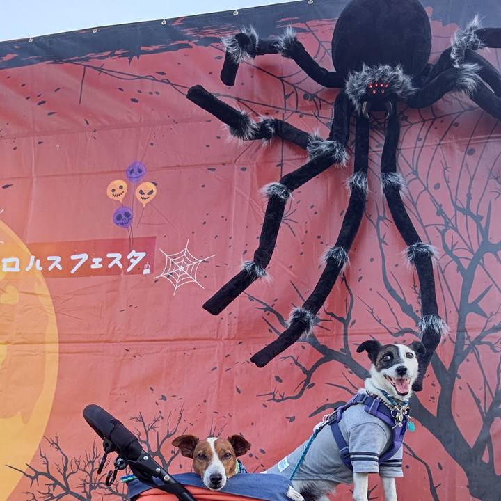 4b334702 7ec0 40d3 82bd 66efb545acc2 1664708462129