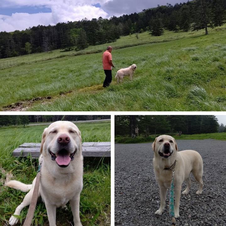 4b336172 6248 4665 9c77 931ae61203ec 1688990241993