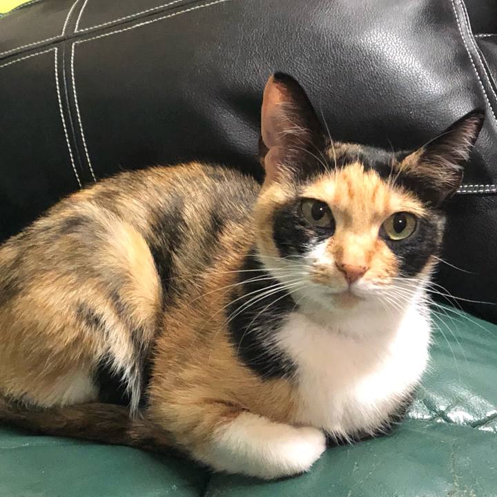 4b339782 b95d 4fb2 bf16 c1b38c4799ae 1556028887610