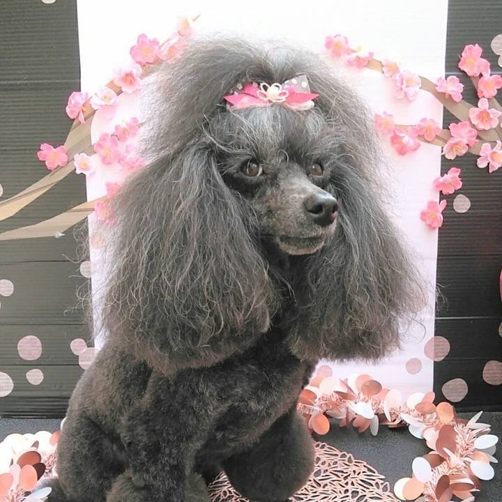 4b33a4b7 490a 4521 a8c3 b5dc5b5d747d 1678491168920