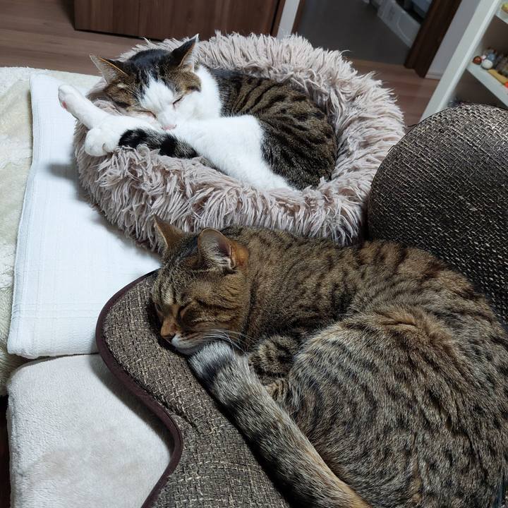 4b33ae4a fc63 47a5 bf81 24f42482296e 1739829131494