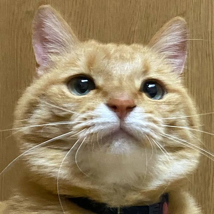 4b33b4db 9708 48d6 ae8e b0c3373b725c 1670638505097