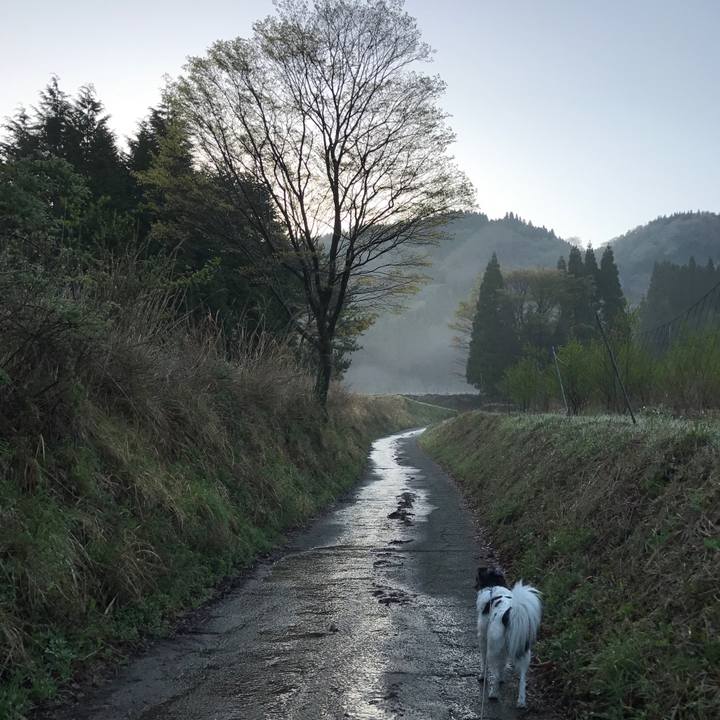 4b33be71 33de 4bef a27f 2b7182eeb6d1 1524054476726