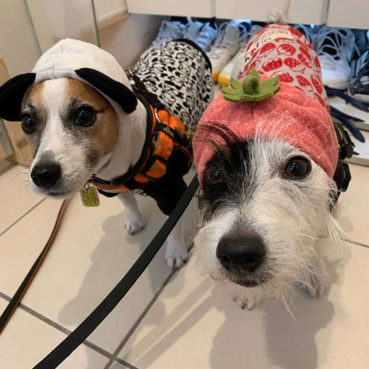 4b33cd75 6131 4011 a676 071167945459 1572483579328