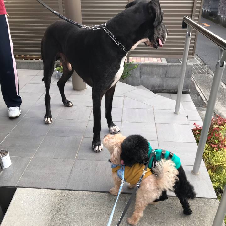 4b33e87c 5cf8 4418 9b74 27f4f27e22bb 1541890287150