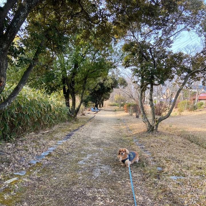 4b3410e2 b60b 4d00 873a 215e251cb33d 1646436772173