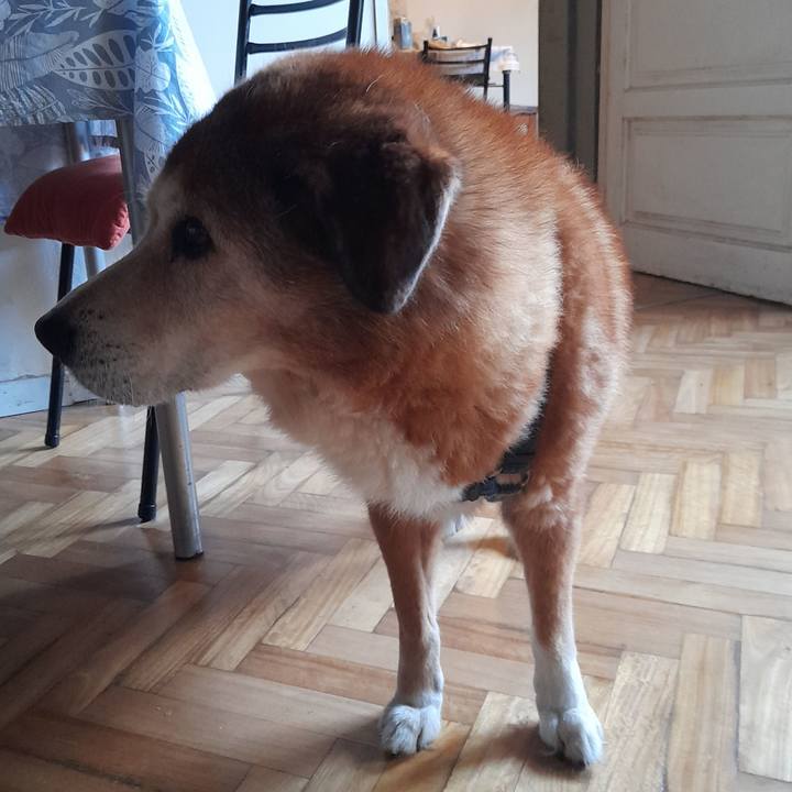 4b343b48 9c8c 413f ba0c 00462c0be462 1755915533144