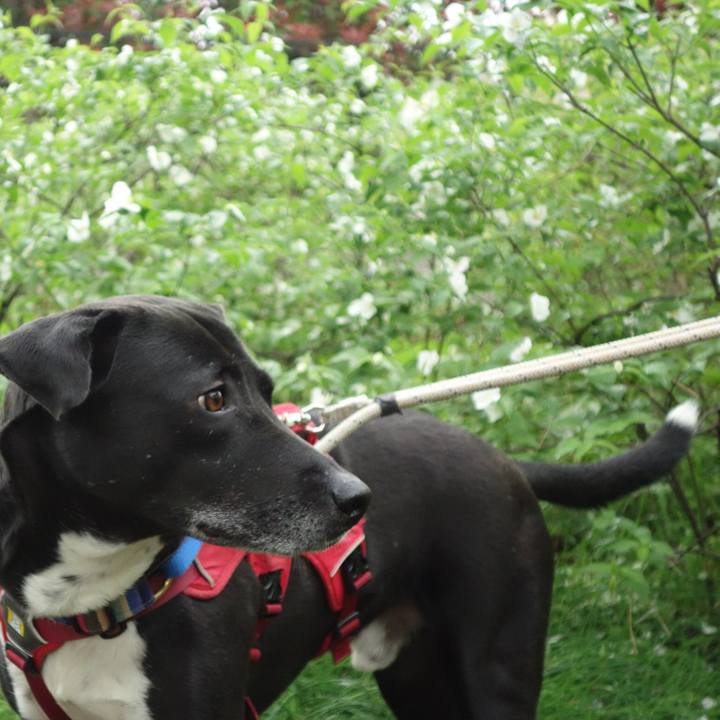 4b346b5b 1d29 4883 a31a 5d2dd5606be2 1650069196556