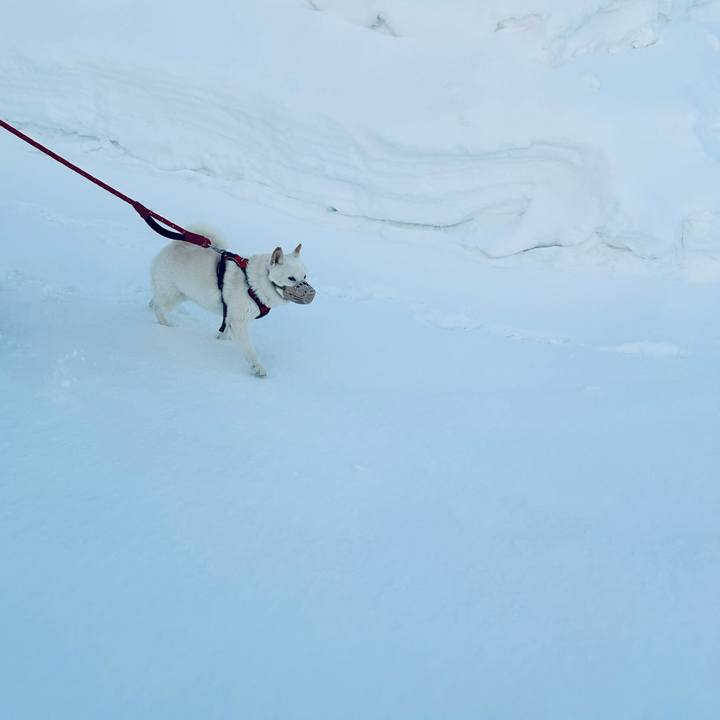 4b349989 049b 49e7 b7e4 0c9643573182 1705618656054