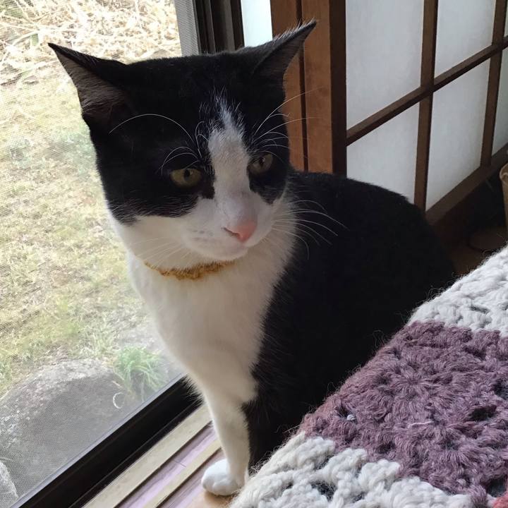 4b34f0c6 fc94 48f0 b1ca 2f92bc771b21 1647153559709