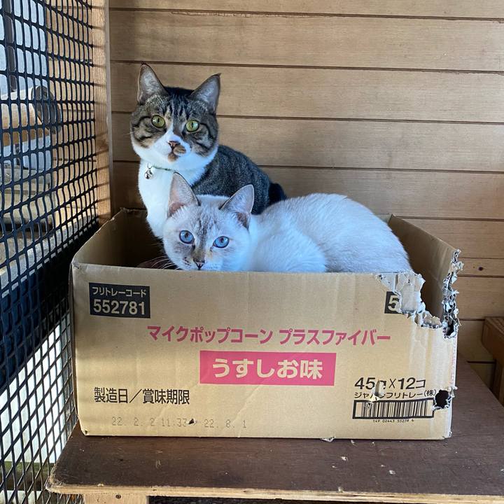 4b3505e0 40b2 4cea b9a1 7ca952113b81 1666136300930