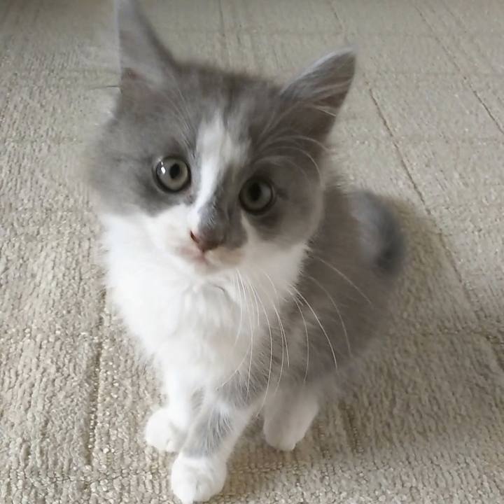 4b35079f 8bbe 415a 8181 d4ebb5ab1167 1561596406307