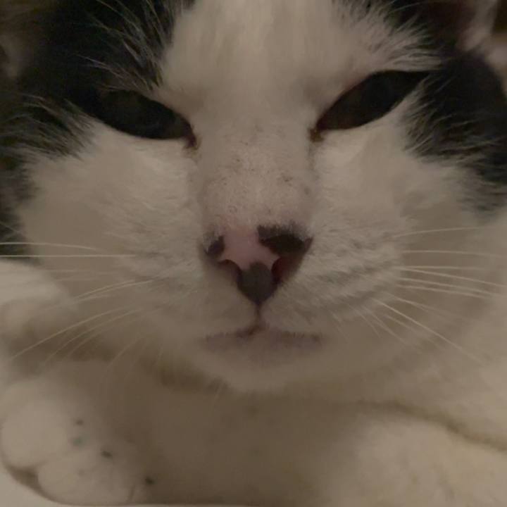 4b3524f8 368c 4d4b b848 95d76793bcf0 1693089829679