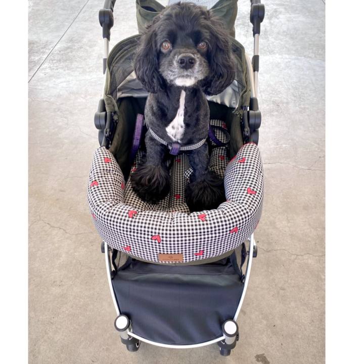 4b35269a 7bfb 4336 badc 701e670d1418 1662960670478