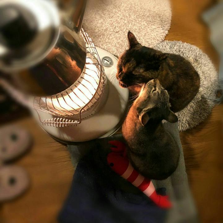 4b35714b 5c81 4af1 b40f df9b41d39d0e 1579405226660