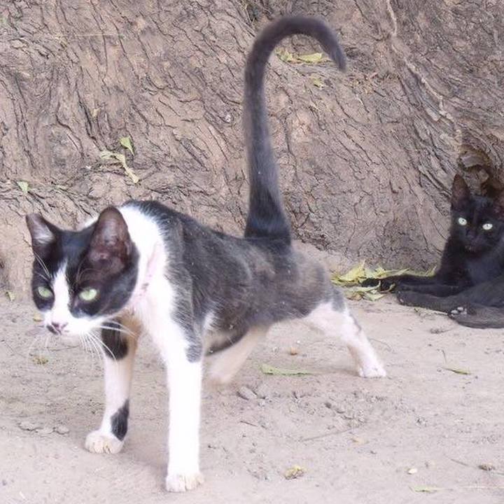 4b35959a 4251 4889 9463 222187f5a82a 1556596344124