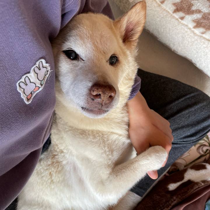 4b35b45a 0fe4 4570 b87b f0aa991d7aad 1677803213194