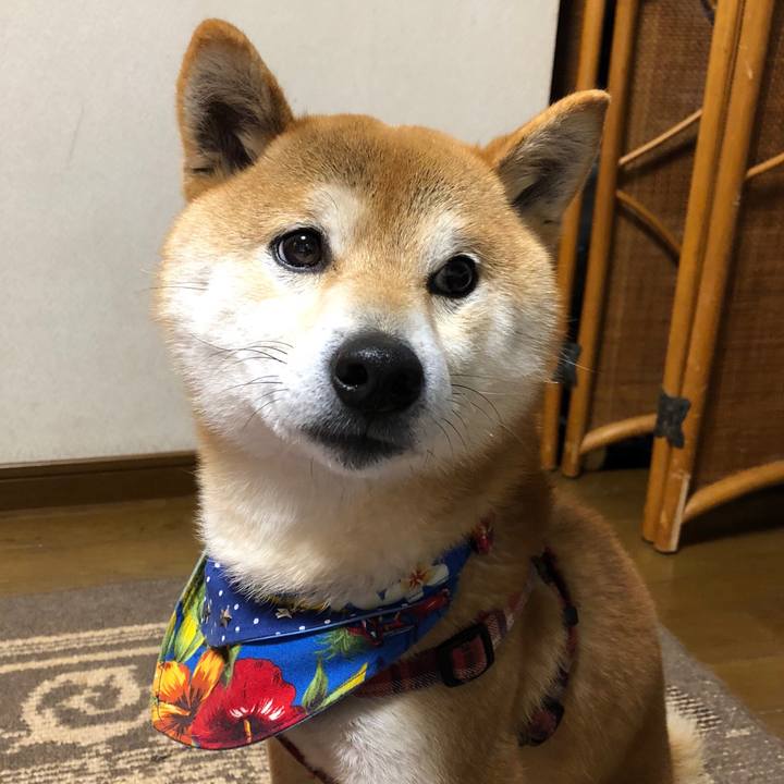 4b3684d4 e79d 4ddb b7d3 750d1d0b49a8 1520246121268