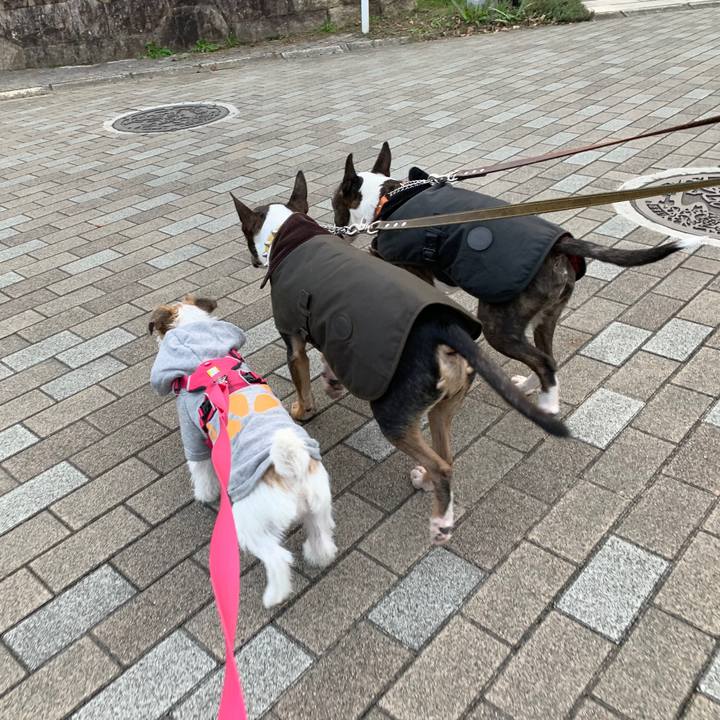 4b368bb6 4080 4db5 b4c9 33ea7f6069d8 1575183053898