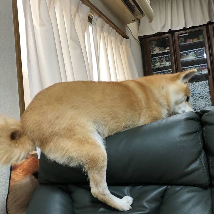 4b36cce9 f232 4daf a76e 417a7fc58734 1578530727299