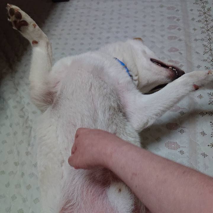 4b37021e 479f 49e5 9720 ac768cba5bcd 1561204559281