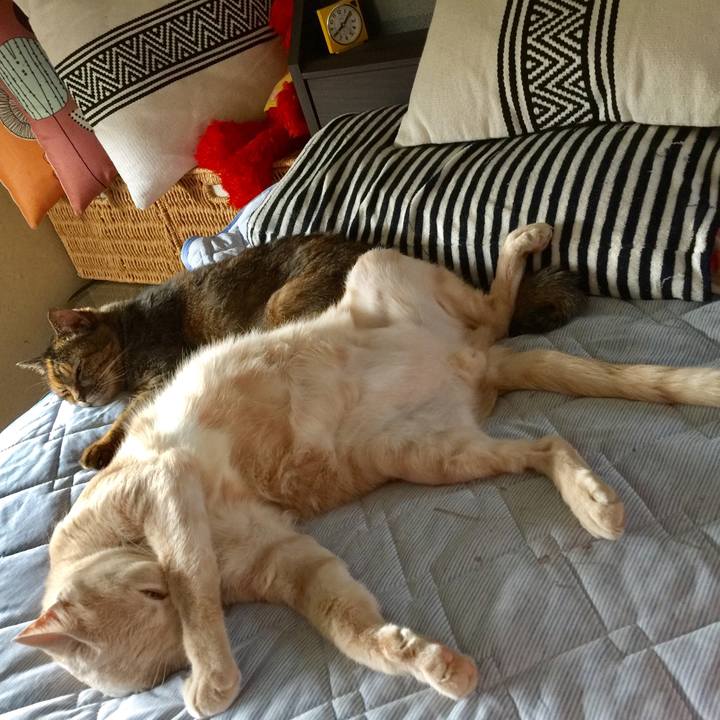 4b3767b0 be13 4861 b174 c69a9f296f82 1596669434230