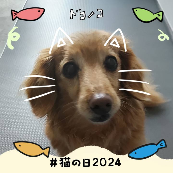 4b377c95 6383 4e21 981d afe2646141fd 1708571907283