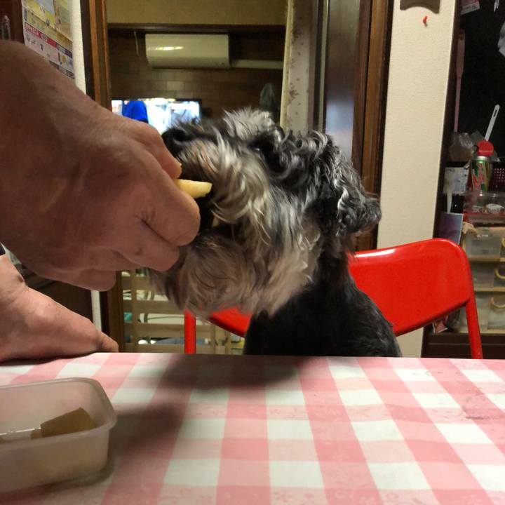 4b37842e 4039 4a0d 8b7d 92b7cfbfb193 1621947927997