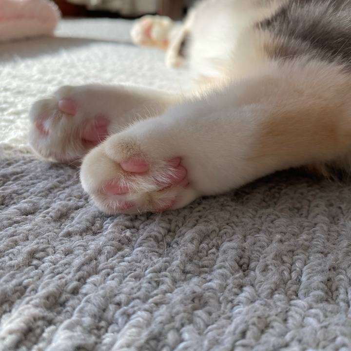 4b37b244 2430 4d0d aaa6 1fd9d823d09f 1739577650492